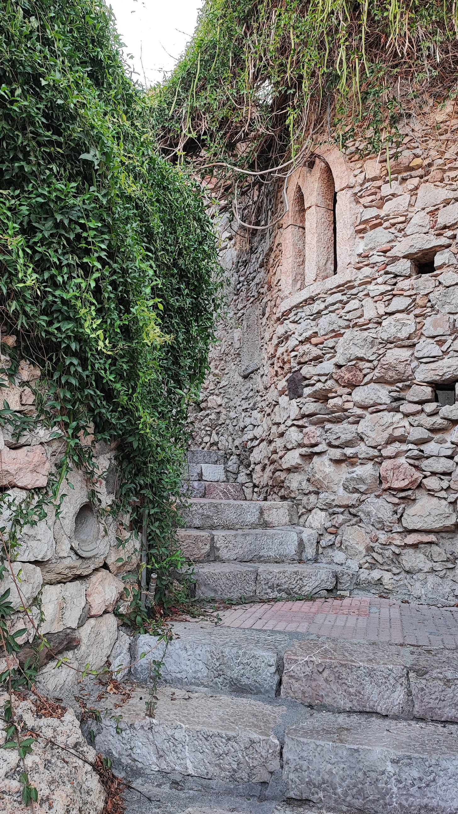stradina a scale tra muri di pietra e vegetazione ricadente dall'alto