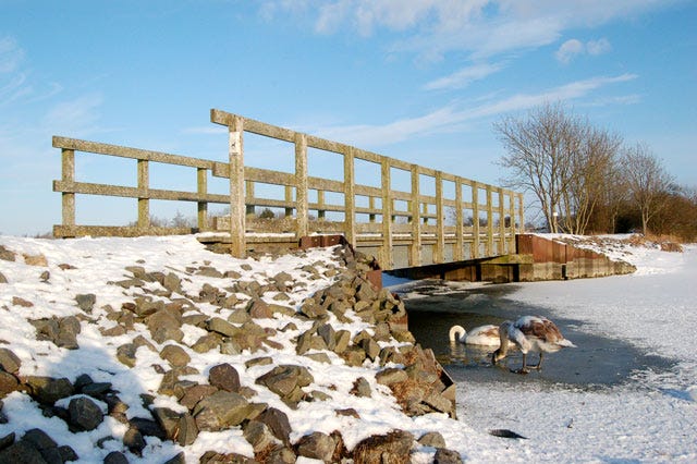 File:Ice-free pool under the footbridge at Napton reservoir -  geograph.org.uk - 1654565.jpg - Wikimedia Commons