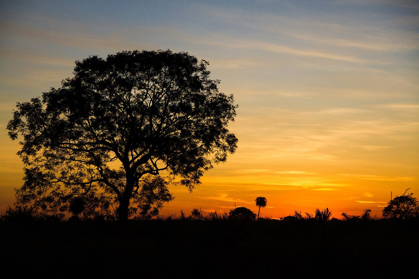 Ficheiro:Pôr do sol no cerrado 01.jpg – Wikipédia, a enciclopédia livre