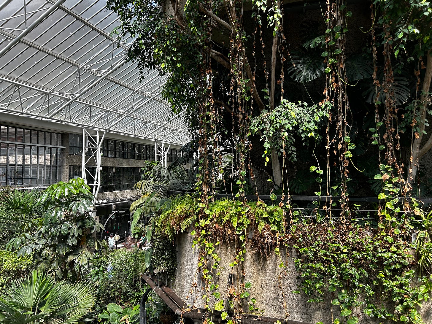 An indoor garden within the conservatory at the Barbican, London.