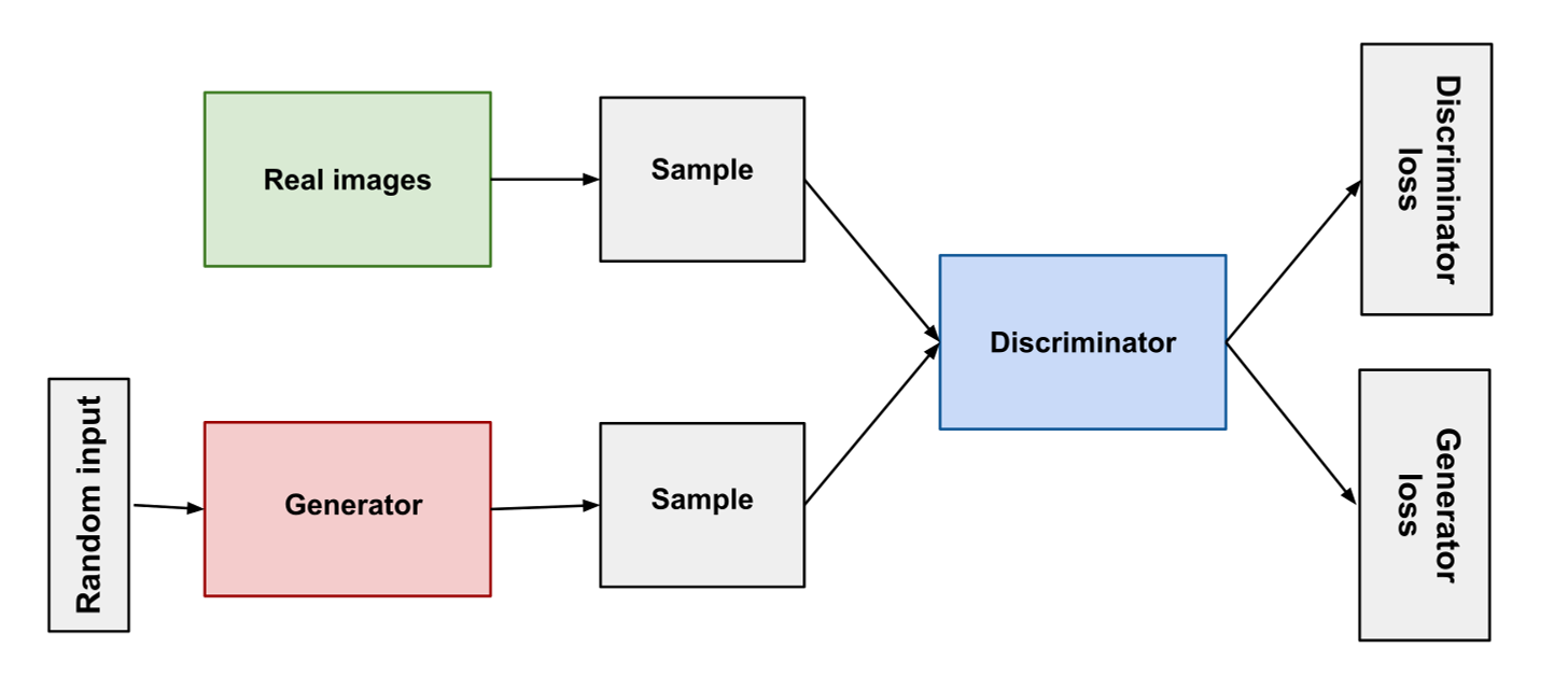 A diagram of a generative adversarial network. At the center of the
          diagram is a box labeled 'discriminator'. Two branches feed into this
          box from the left.  The top branch starts at the upper left of the
          diagram with a cylinder labeled 'real world images'. An arrow leads
          from this cylinder to a box labeled 'Sample'. An arrow from the box
          labeled 'Sample' feeds into the 'Discriminator' box. The bottom branch
          feeds into the 'Discriminator' box starting with a box labeled 'Random
          Input'. An arrow leads from the 'Random Input' box to a box labeled
          'Generator'. An arrow leads from the 'Generator' box to a second
          'Sample' box. An arrow leads from the 'Sample' box to the
          'Discriminator box. On the right side of the Discriminator box, an
          arrow leads to a box containing a green circle and a red circle. The
          word 'Real' appears in green text above the box and the word 'False'
          appears in red below the box. Two arrows lead from this box to two
          boxes on the right side of the diagram. One arrow leads to a box
          labeled 'Discriminator loss'. The other arrow leads to a box labeled
          'Generator loss'.