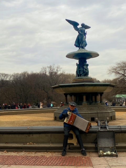 An angel on top of Bethesda fountain. The winter trees behind are brown and barren. Sitting on the edge of the empty fountain is an older man playing an accordion.