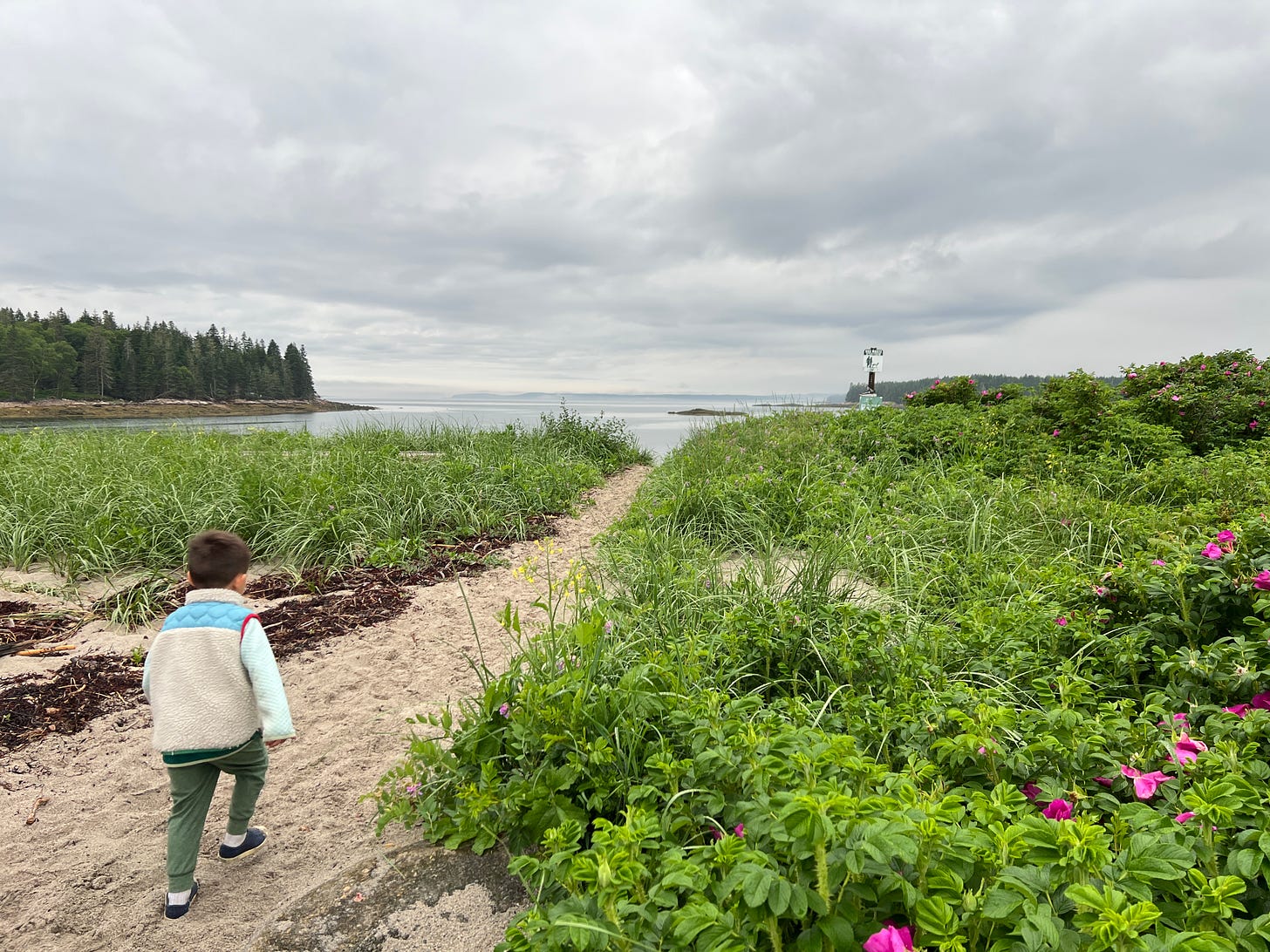 Little boy walking on sand towards Carrying Place Beach on Swan's Island, Maine.