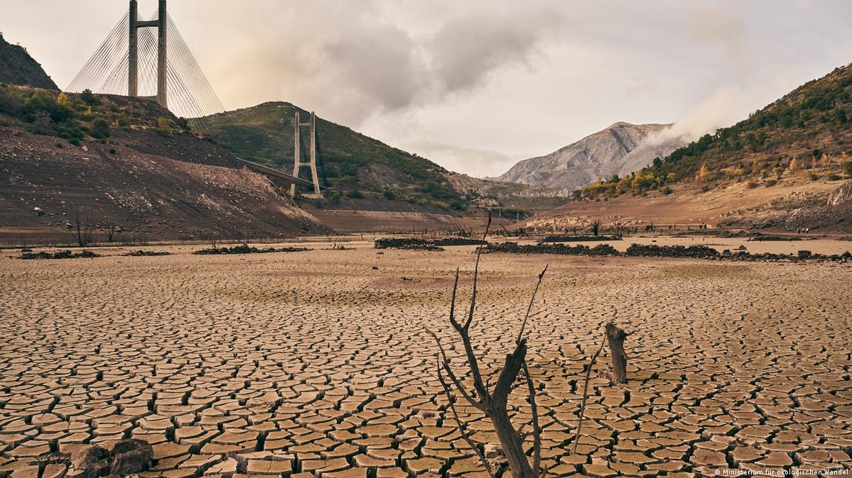 Extreme heat in Spain hits harvest – DW – 08/10/2022