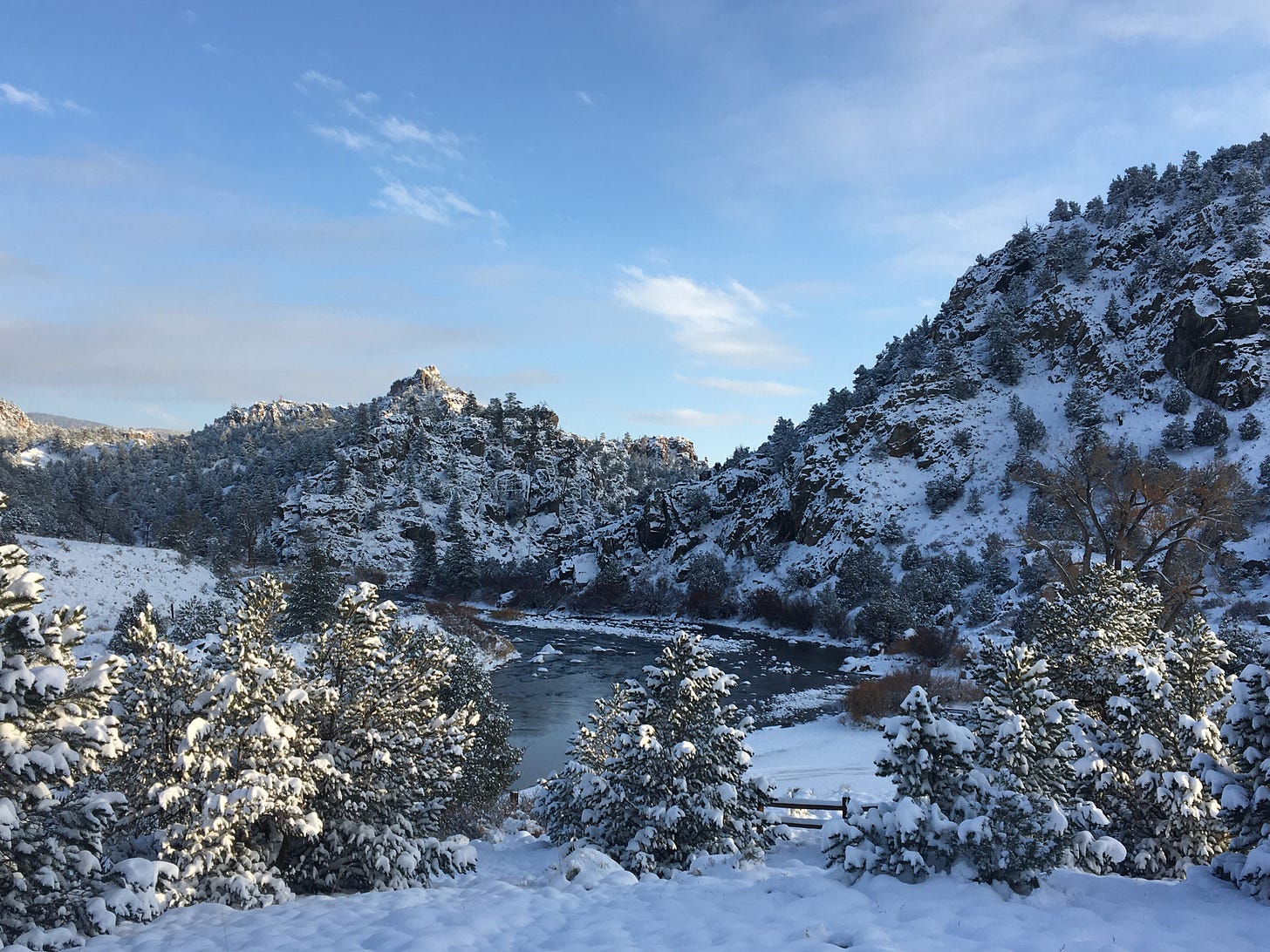 The blue-black Arkansas River rounds a bend beneath a craggy winterscape of snow-covered evergreens shrouded in icy blue shadows. Overhead, wispy clouds drift across a bright, baby blue sky as morning light reaches the low treetops in the foreground and forested terrain in the distance.
