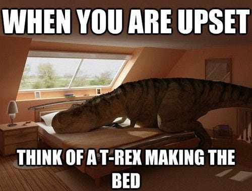 55 Funny Motivational Memes that will Uplift Your Spirits - Inspirationfeed