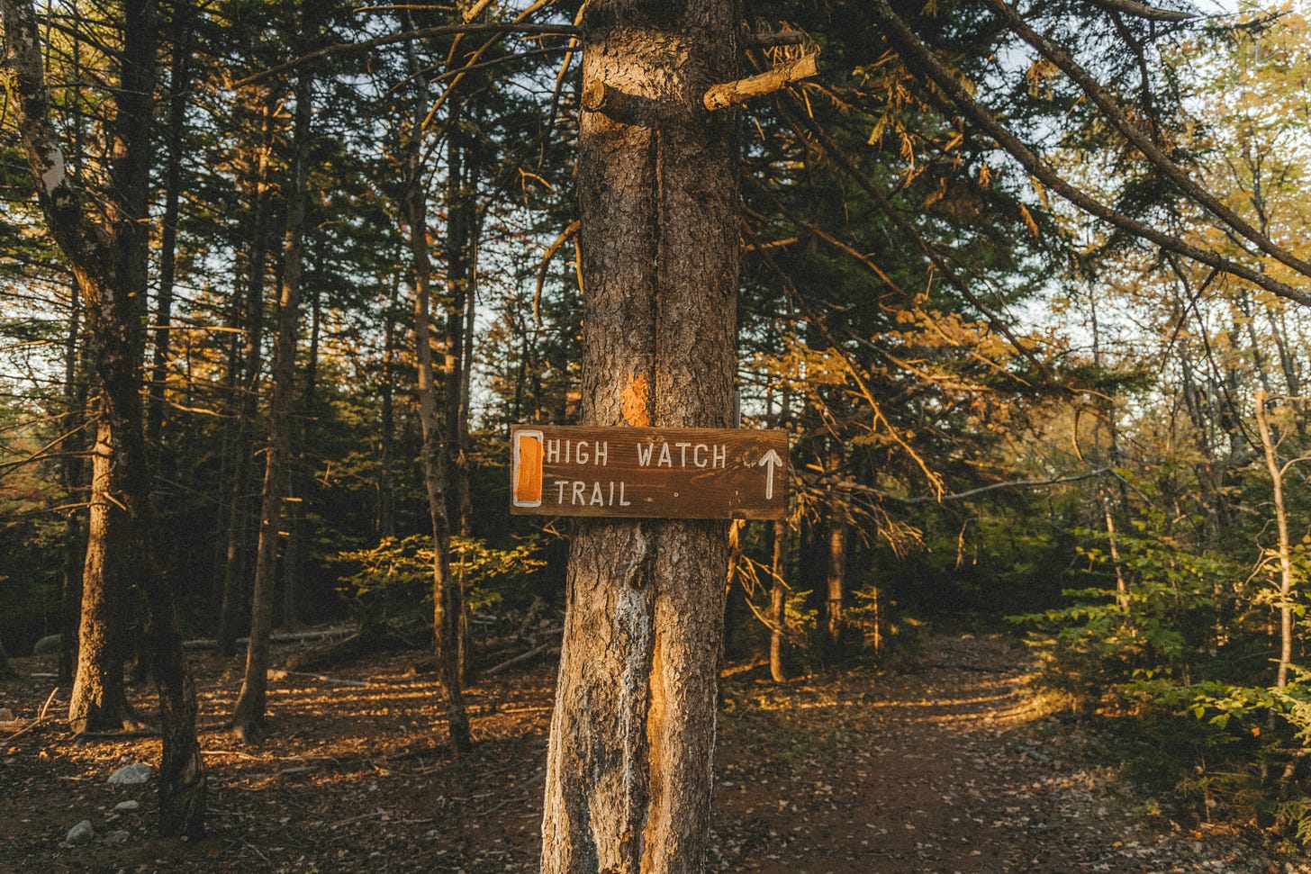 A hiking trail sign hanging on a tree. 