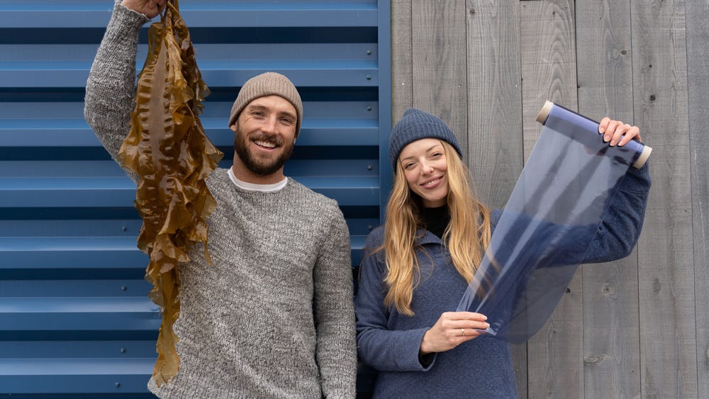 Co-founders Matt Mayes and Julia Marsh hold fresh seaweed and seaweed-based plastic