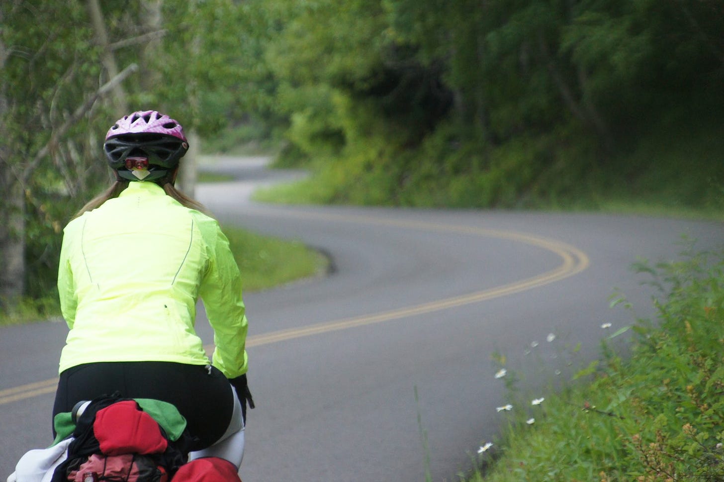 Staring down a curvy section of Going-to-the-Sun Road.