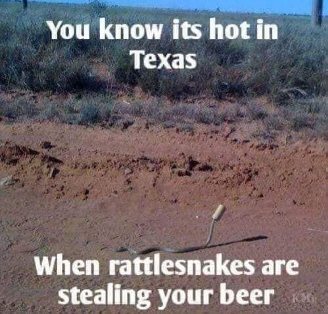 Pin by Deena Harral on Texas Crazy | Funny pictures, Funny memes, Texas