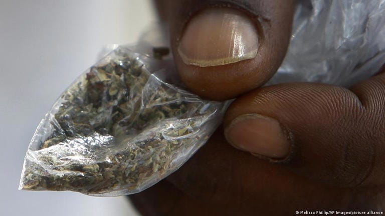 Many youth in West Africa are turning to kush as a recreational drug