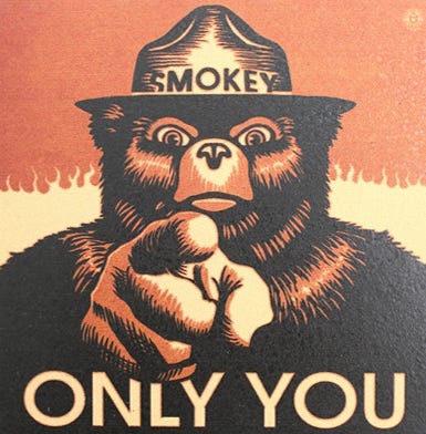 The Need to Update Smokey Bear's Message | Cascadia Wildlands