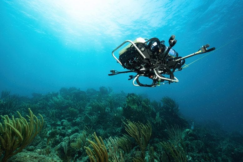 CUREE Autonomous Underwater Robot