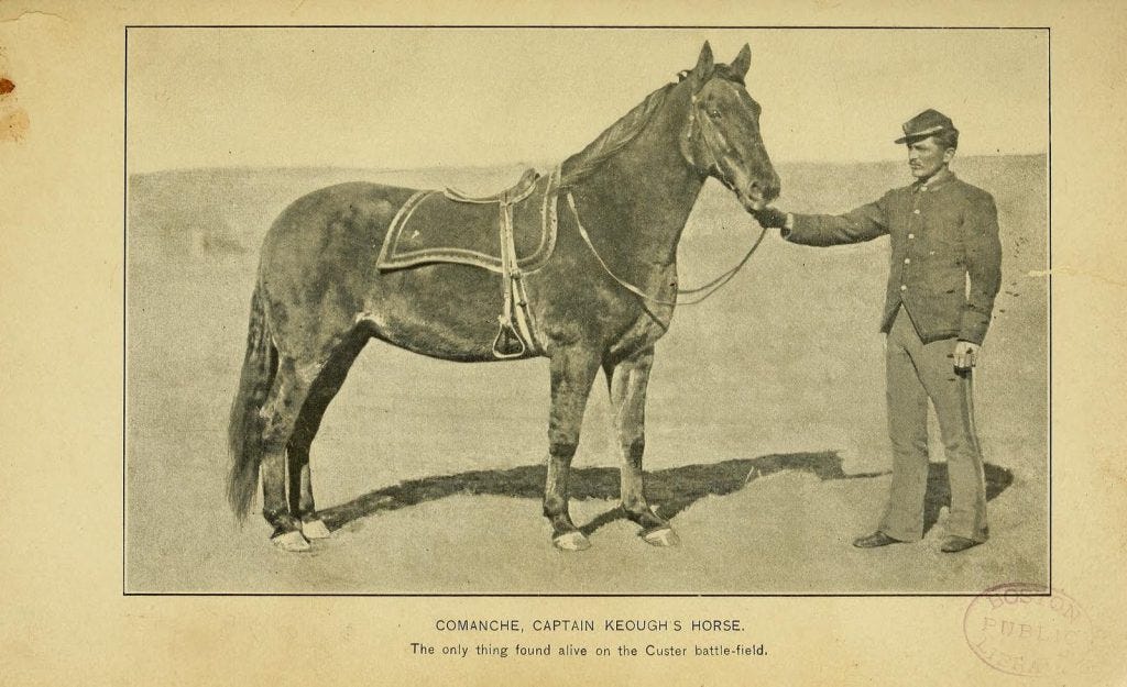 Comanche
