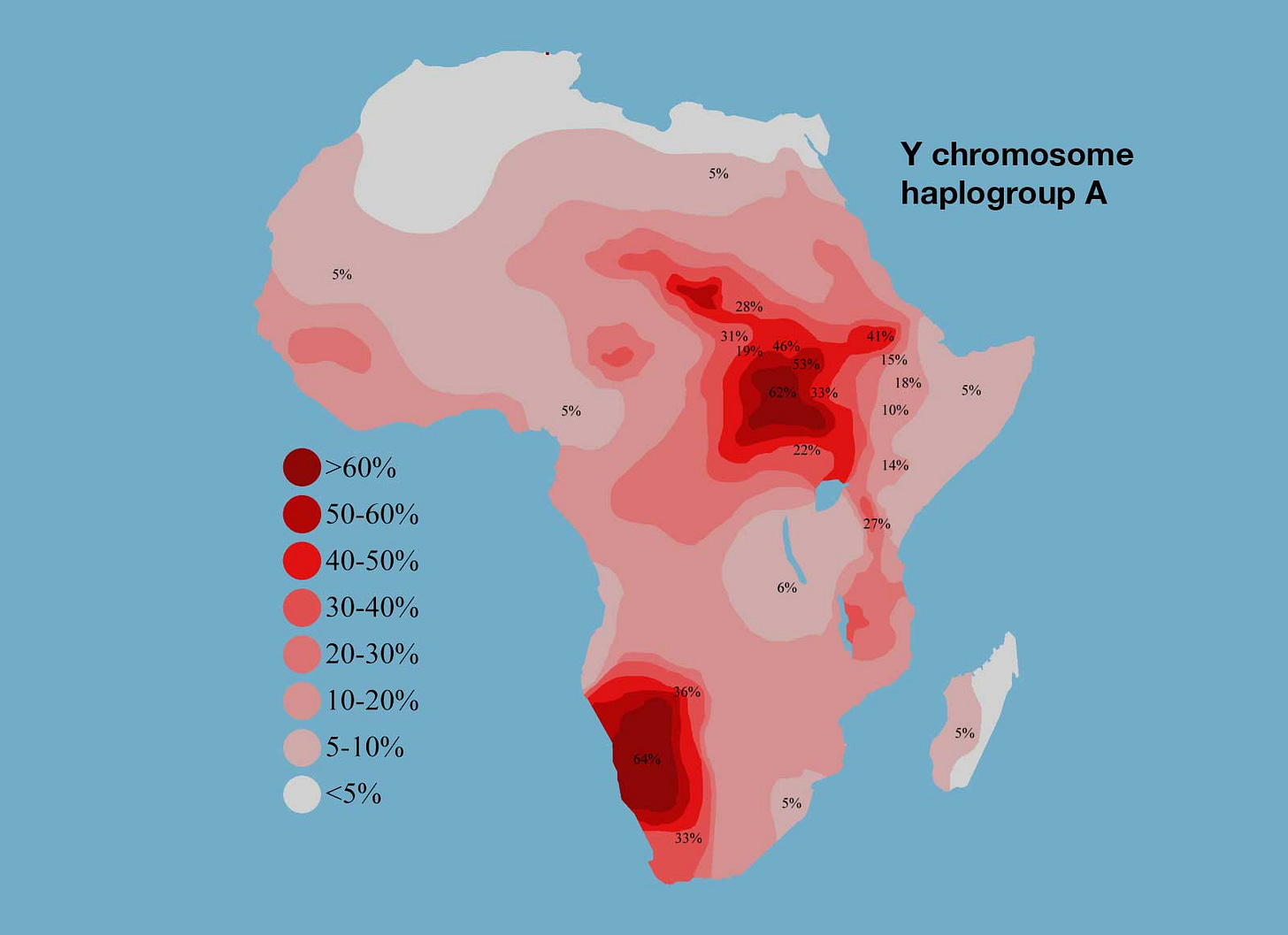 Map of Africa showing high concentration of Y chromosome haplogroup A in Namibia and northeast Africa Map of Africa showing high concentration of Y chromosome haplogroup A in Namibia and northeast Africa
