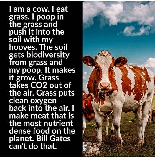 May be an image of grass and text that says 'I am a cow. eat grass. poop in the grass and push it into the soil with my hooves. The soil gets biodiversity from grass and my poop. It makes it grow. Grass takes CO2 out of the air. Grass puts clean oxygen back into the air. I make meat that is the most nutrient dense food on the planet. Bill Gates can't do that.'
