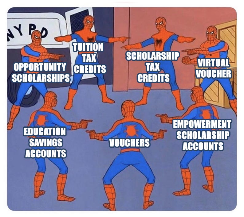 Meme of Spiderman pointing at his own twin, but there are 7 of them, all pointing at each other. Each one is labeled with a different name for the same thing: school vouchers that take money away from public schools and funnel taxpayer dollars to private schools, like vouchers, ESA, scholarship tax credits, etc. 