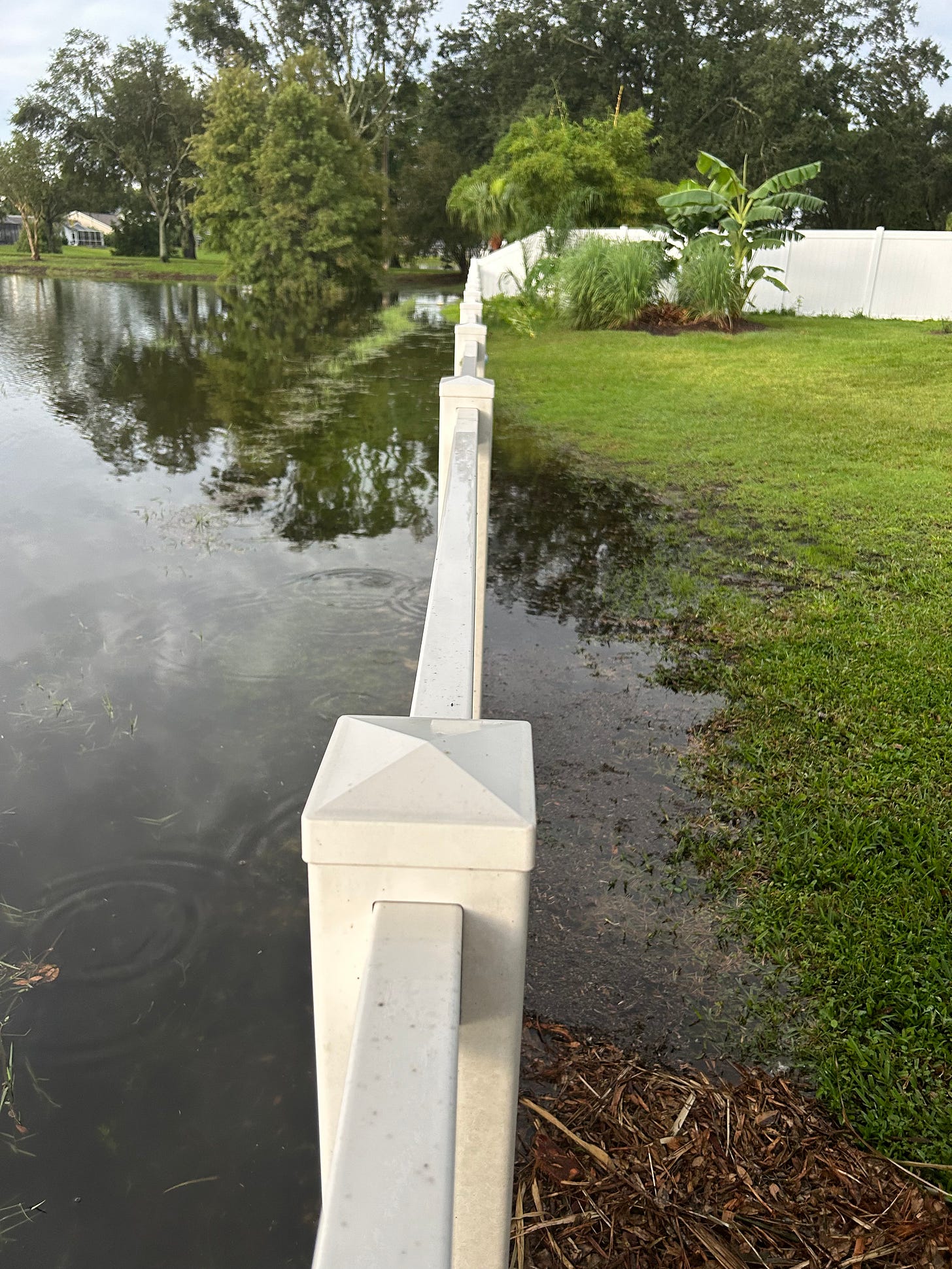 A white vinyl fence borders a pond on the left that has flooded over the fence into a yard with green grass on the right.