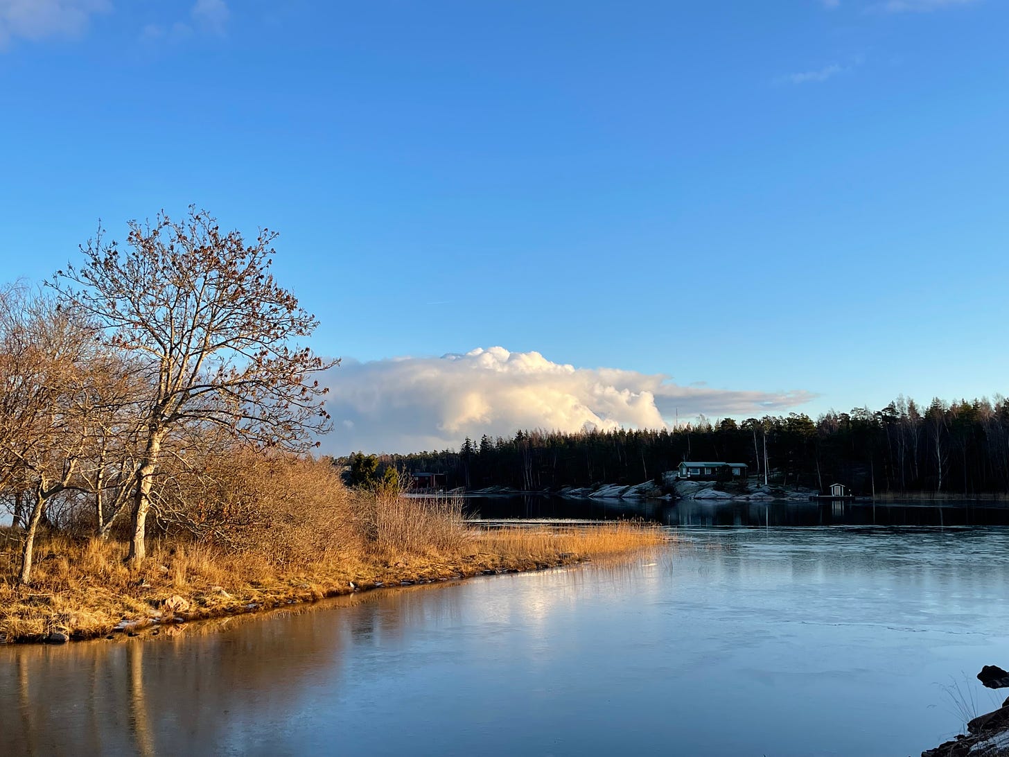 frozen sea in foreground, spit of brown land with brown grasses and trees, tree lined horizon with fluffy clouds and blue sky