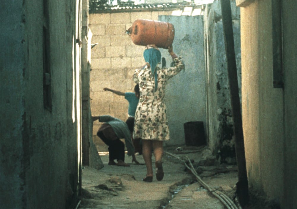 Les Femmes Palestiniennes (Palestinian Women)