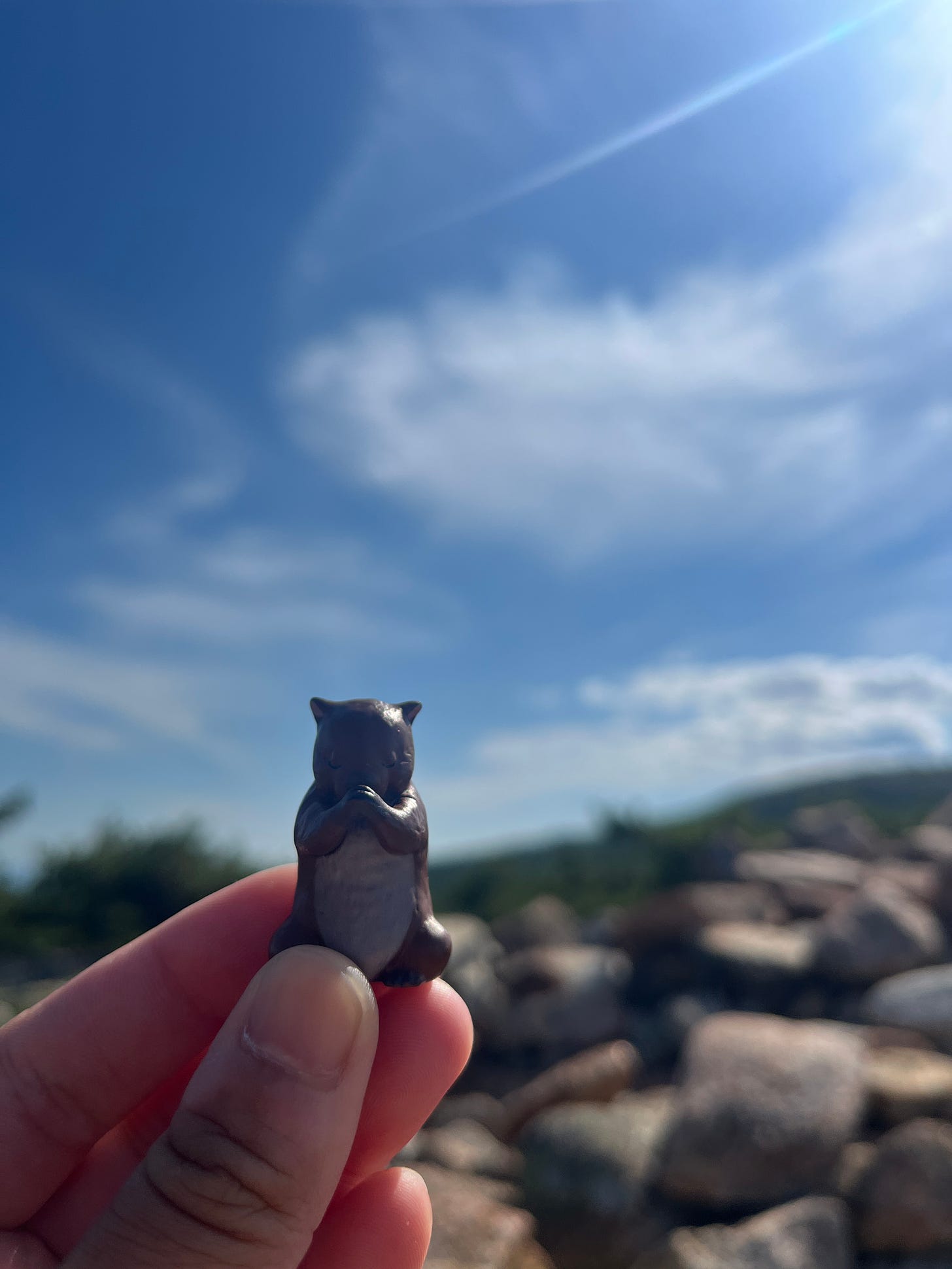 A tiny Gashapon capybara praying on a mountaintop.