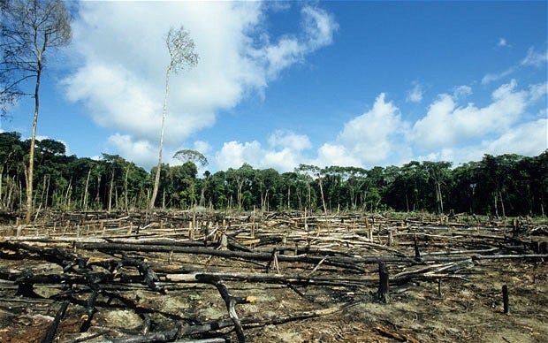 La crisis ambiental va más allá del cambio climático