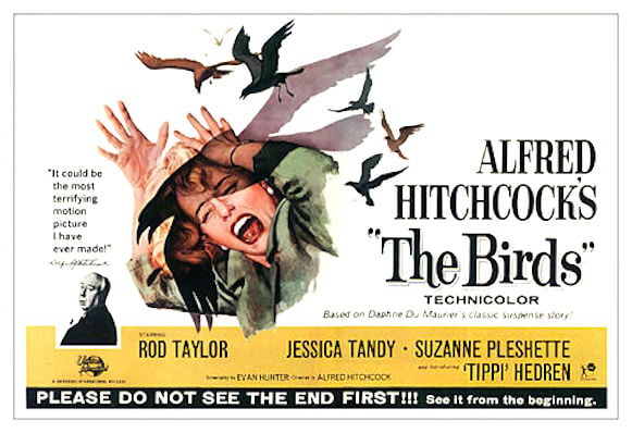 The birds (Hitchcock) movie poster, 1965