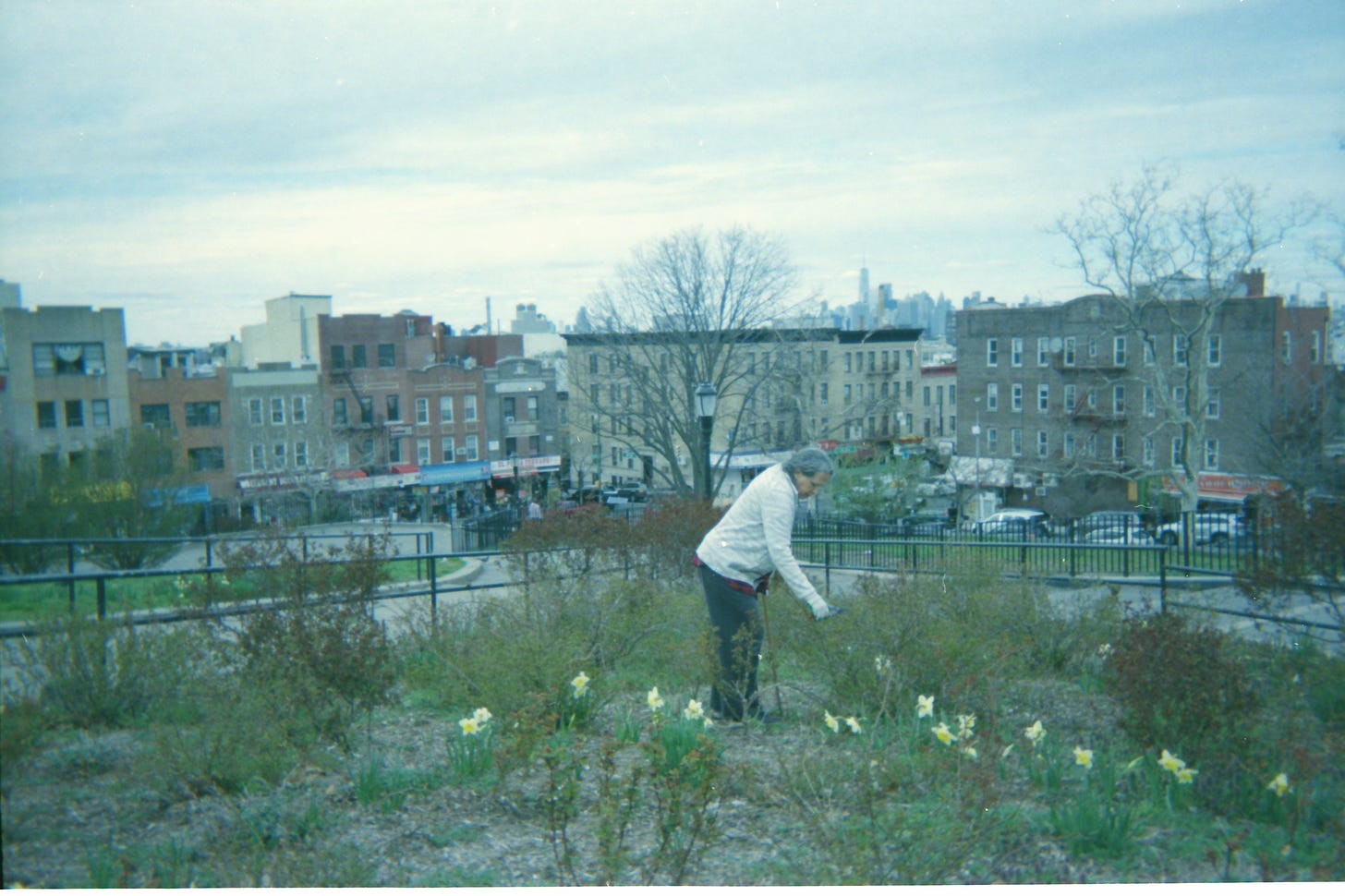 Sunset Park and the lady who tends to the 9/11 memorial garden