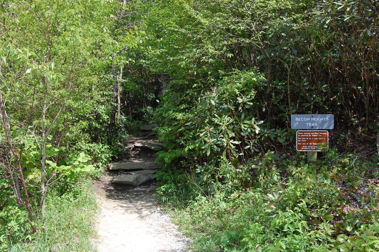 Start of the Mountains to Sea Trail, North Carolina