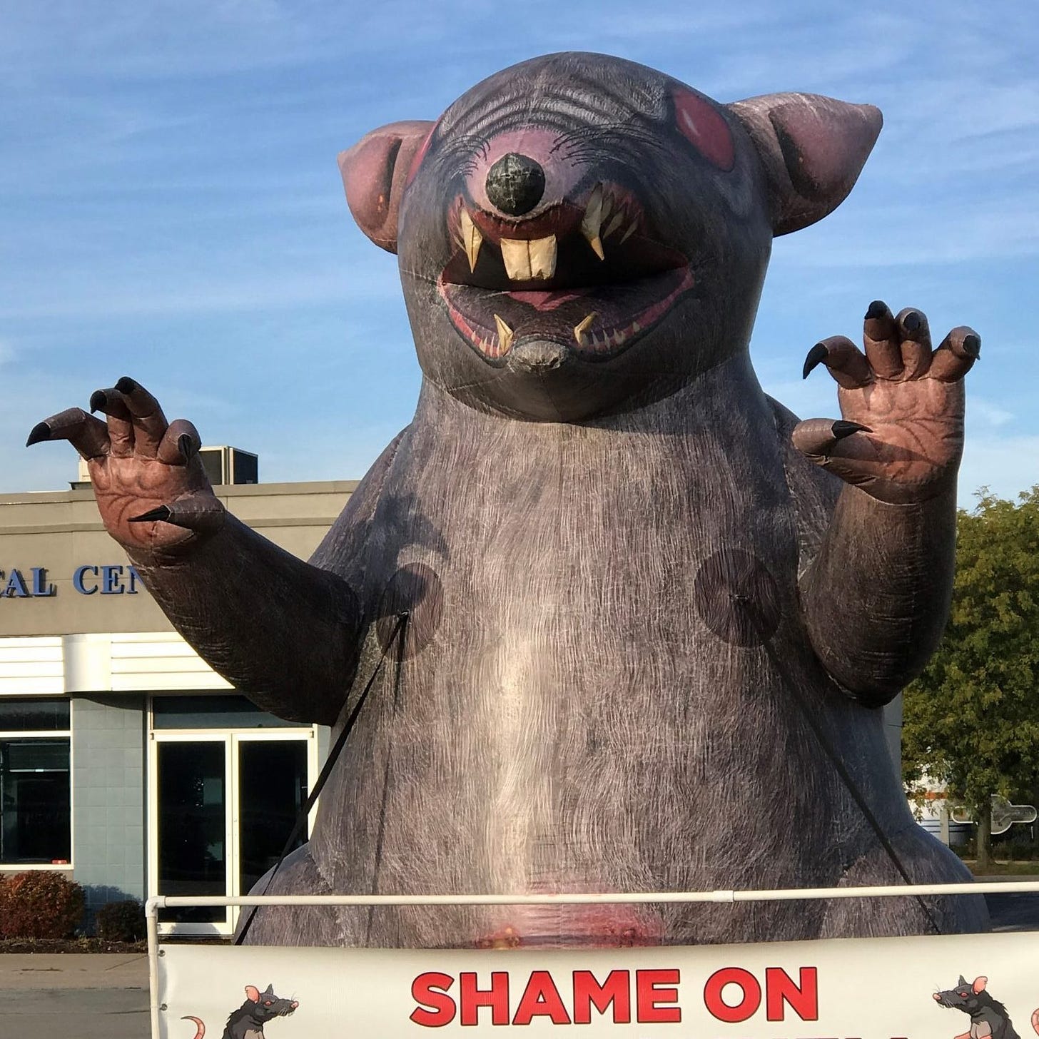 SCABBY WINS AGAIN! NLRB DISMISSES LAWSUIT THREATENING USE OF INFLATABLE RATS  - IUOE Local 150 | International Union Of Operating Engineers
