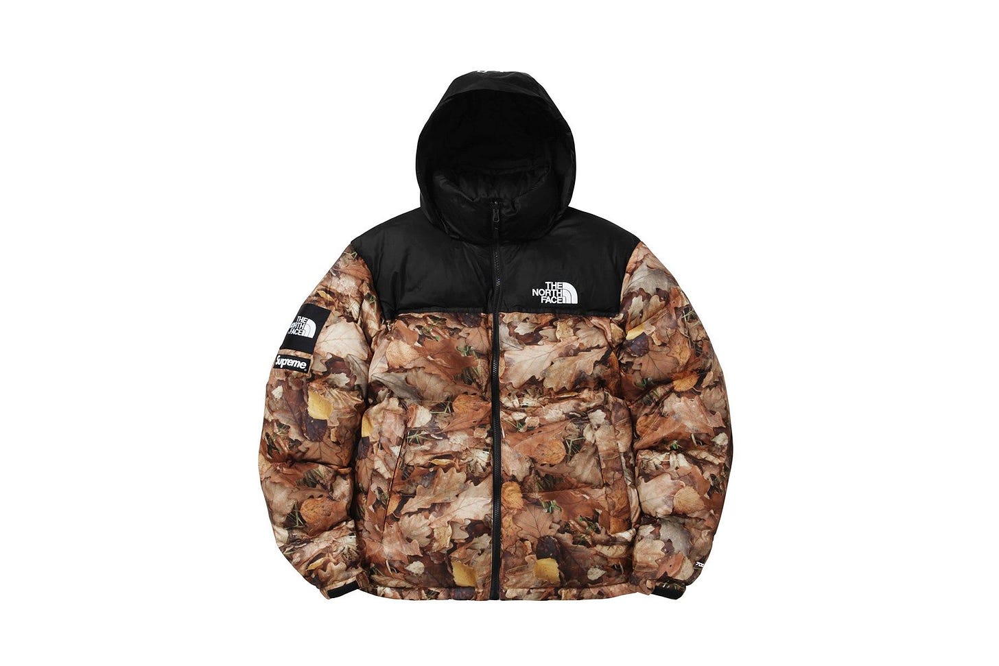 Supreme x The North Face 2016 Fall/Winter Collection | Fall winter jacket,  Winter collection, Fall winter