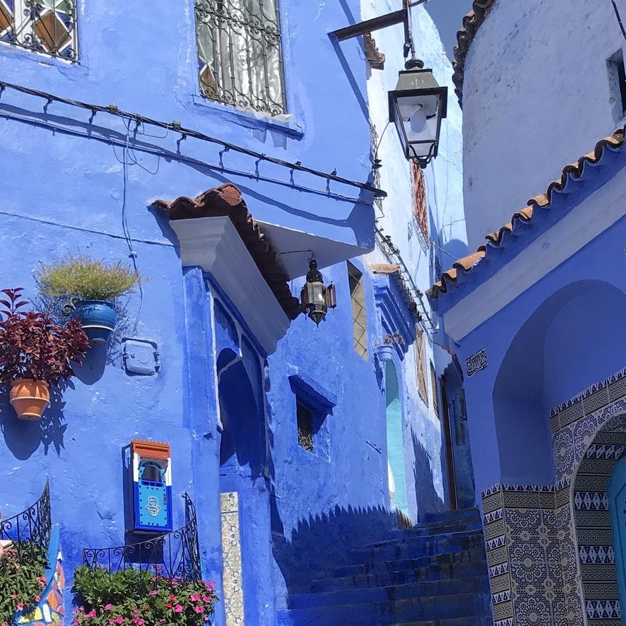 A small staircase winds its way up through the village of Chefchaouen, Morocco. The buildings are bright azure blue. Potted plants and flowers hang from the walls, and doorways are lined with decorative ceramic tiles