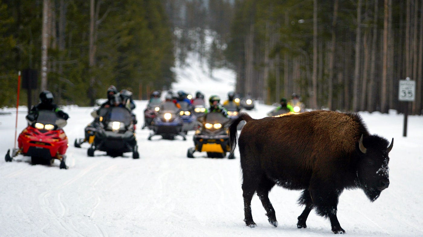 15 Years Of Wrangling Over Yellowstone Snowmobiles Ends : NPR