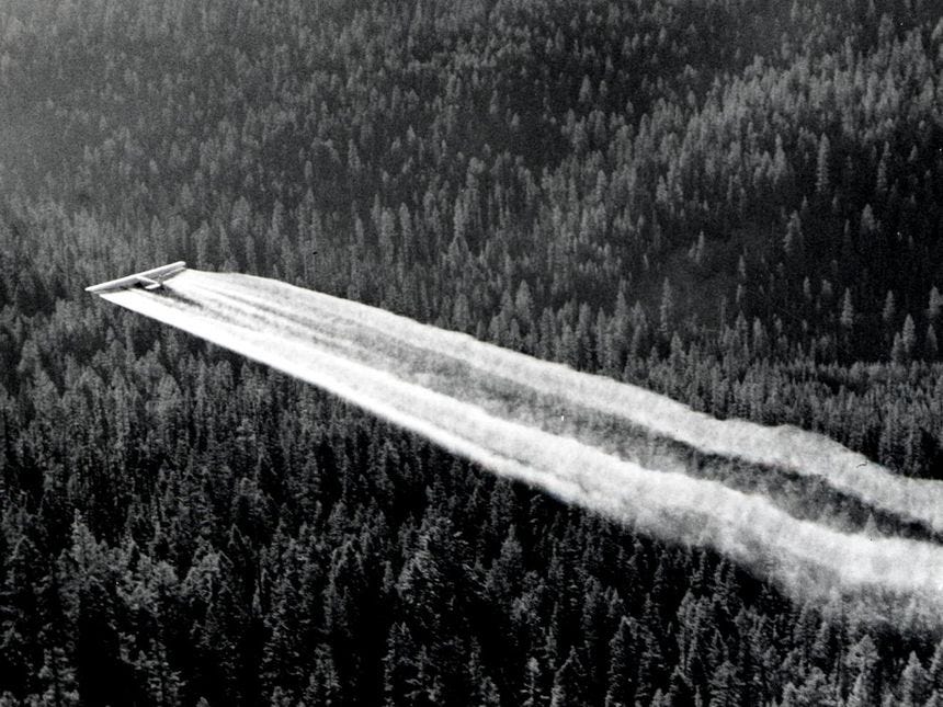 1955 ford tri motor spraying ddt western spruce budworm control project powder river control unit or 32213742634