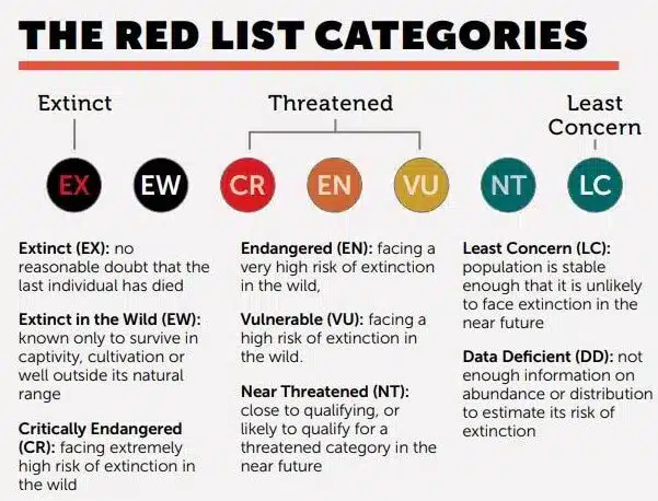 Red List Categories