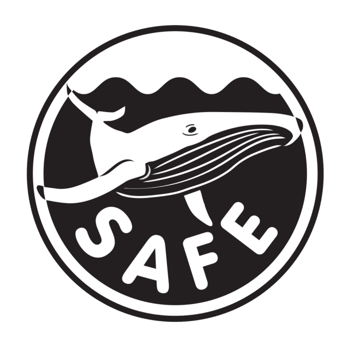 Save the Whales Campaign | Possible Solutions to Save Whales FOS