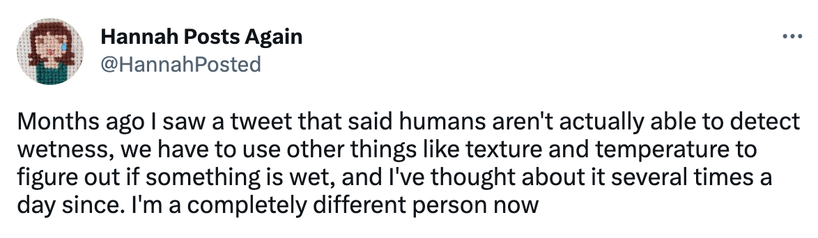 tweet from hanna posts again (@hannahposted) that reads "Months ago I saw a tweet that said humans aren't actually able to detect wetness, we have to use other things like texture and temperature to figure out if something is wet, and I've thought about it several times a day since. I'm a completely different person now"