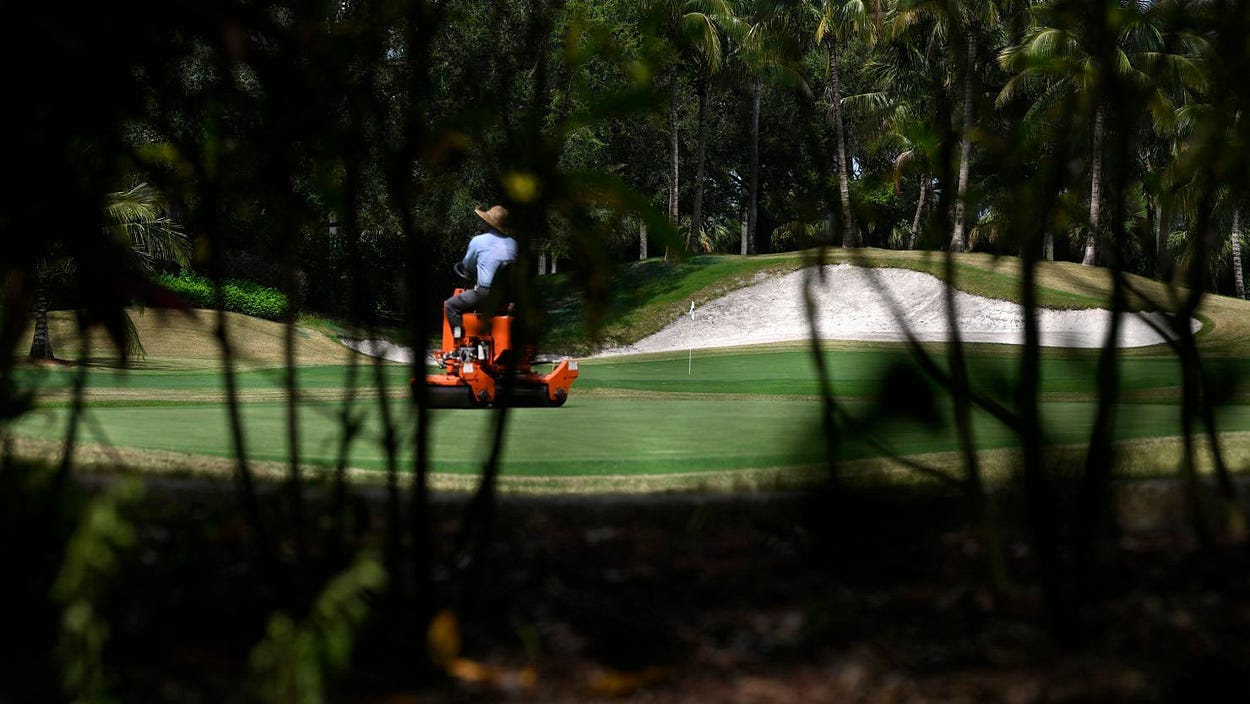 A first-person perspective view from the bushes of a man mowing the grass on a golf course