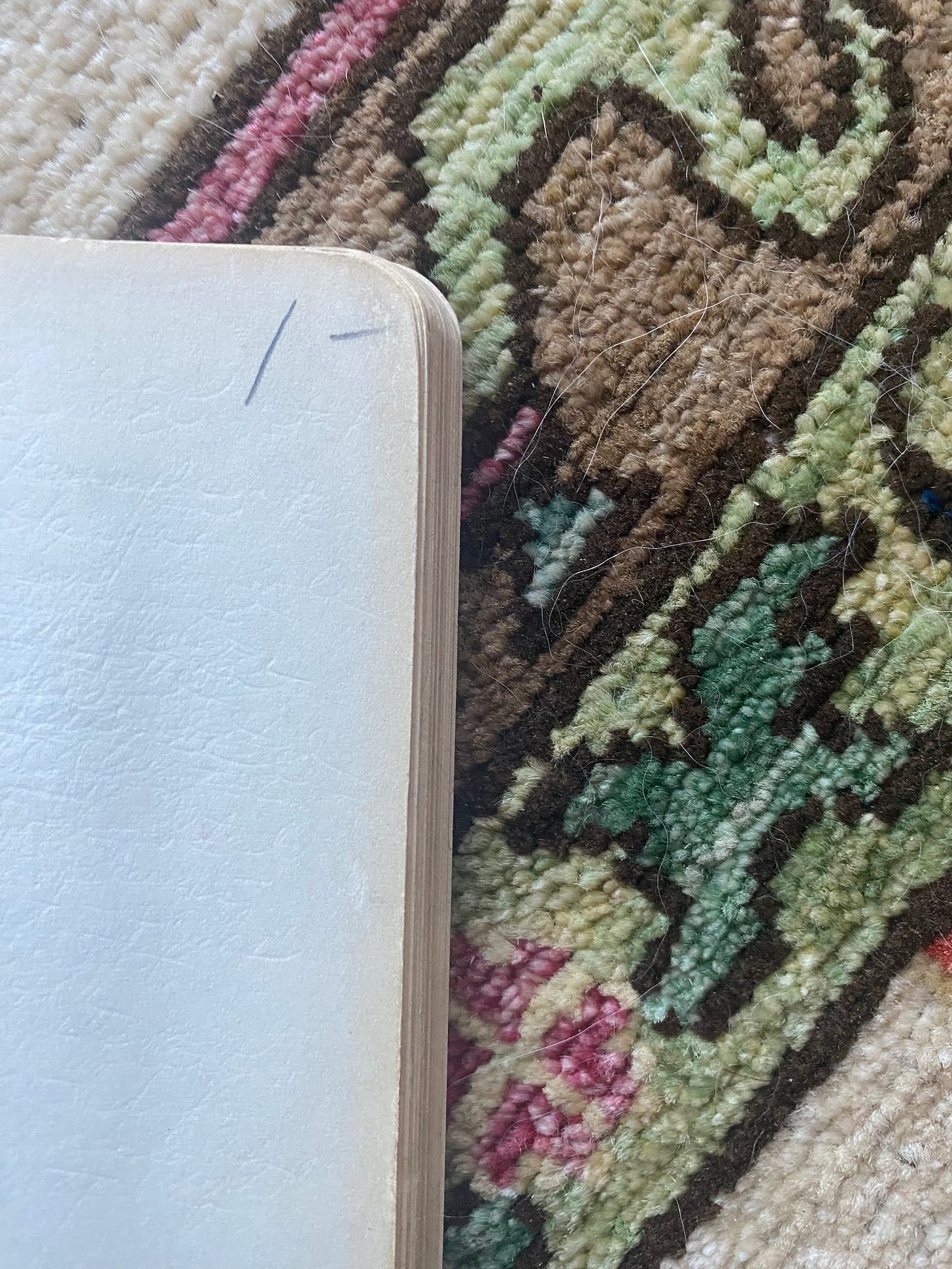 Photo of the inside of an old composition book with the price $1.00 written in pencil in the top right corner