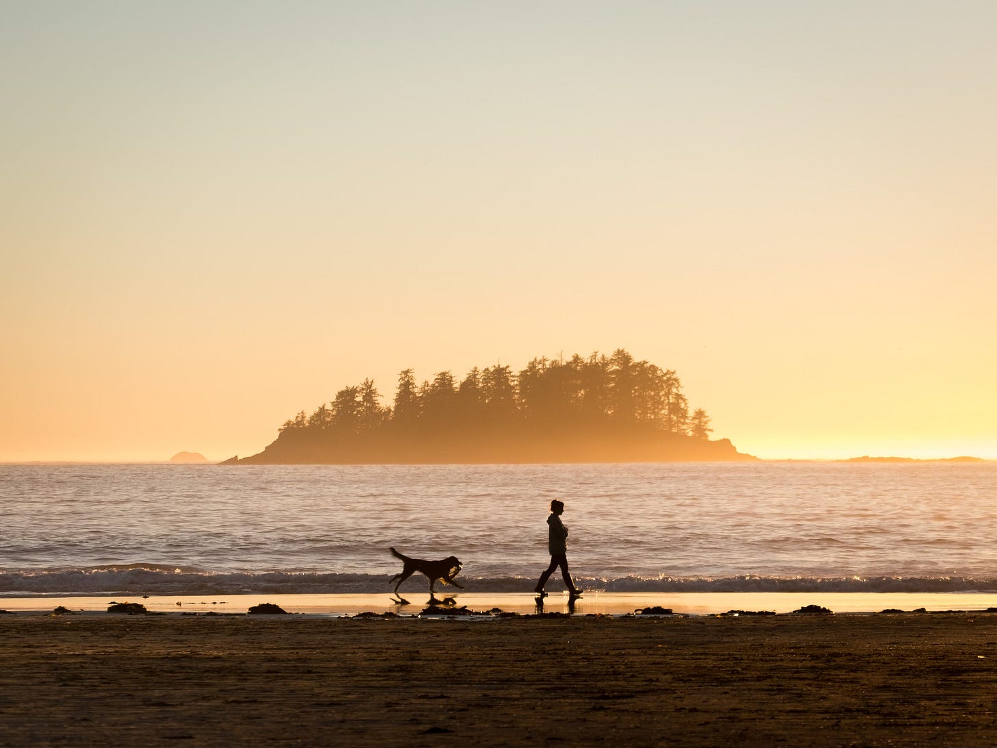 walk with dog on beach