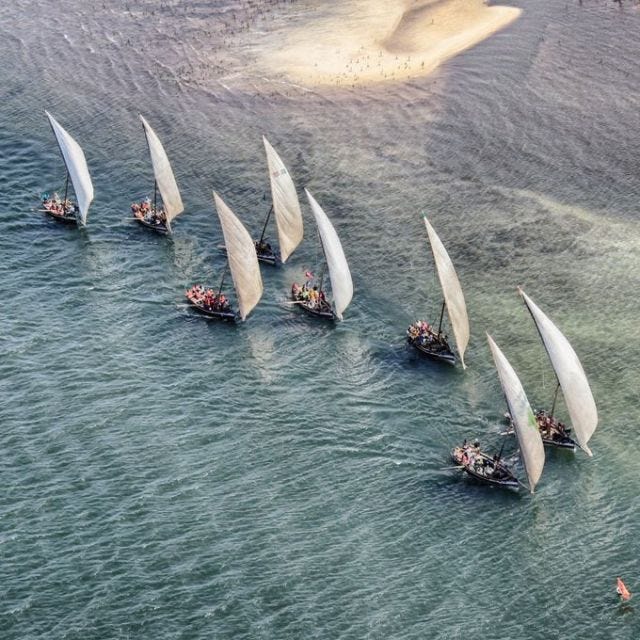 Eight boats with triangular white sails in a blue sea