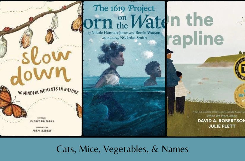 Cover images of Slow Down, Born on the Water, and On the Trapline above the text; ‘Cats, Mice, Vegetables, & Names’ on a blue background.