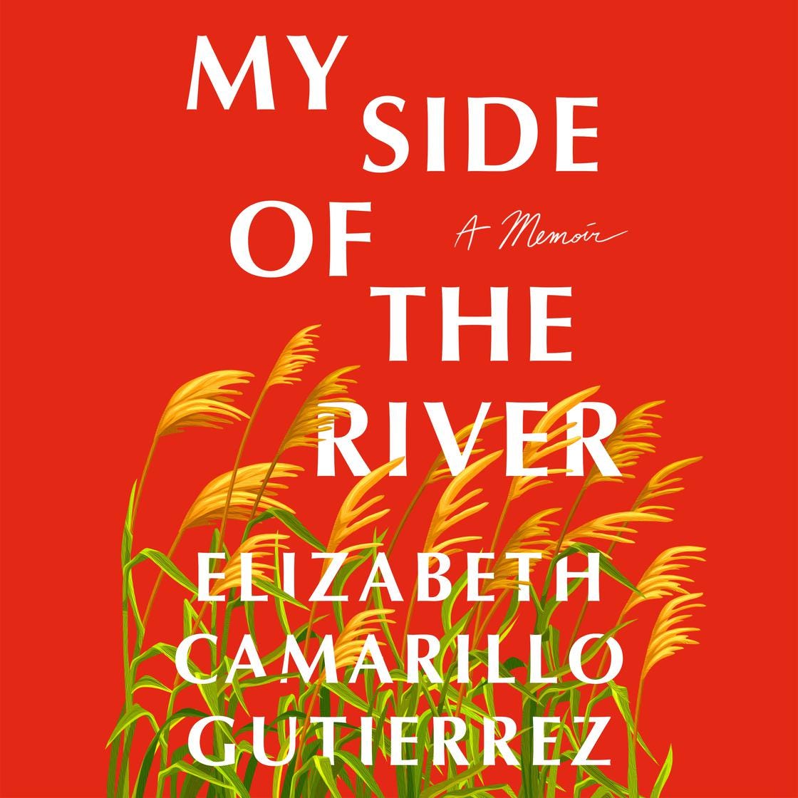 My Side of the River by Elizabeth Camarillo Gutierrez