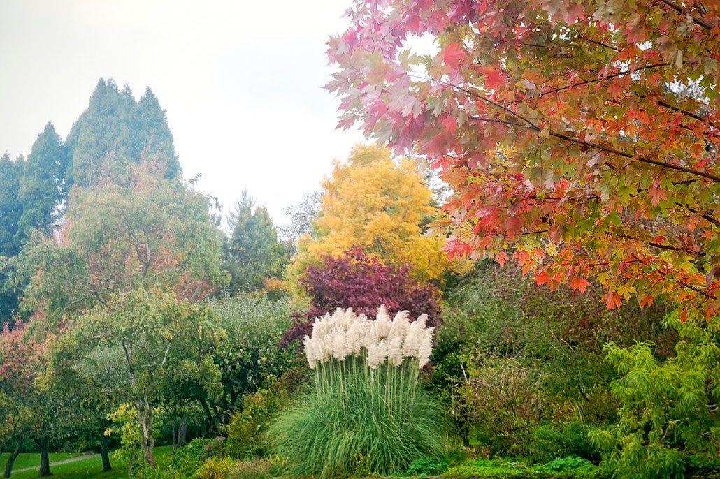 Darts Hill Garden Conservancy Trust Society - Darts Hill Garden is the  result of over 70 years of work and dedication guided by the vision of  Francisca Darts