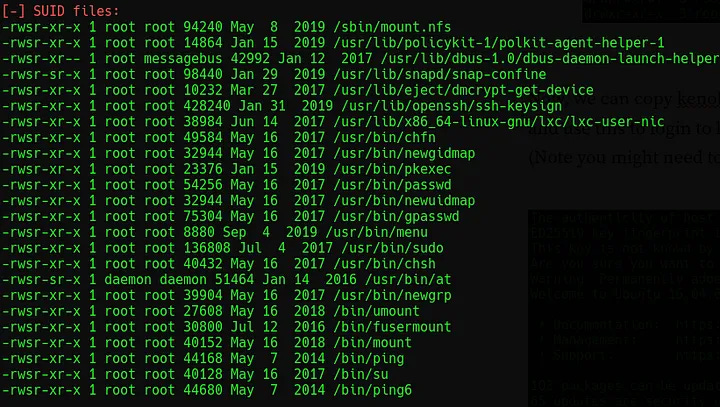 Terminal output showing SUID bit files from LinEnum