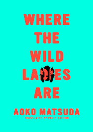 Where the Wild Ladies Are ‹ Soft Skull Press