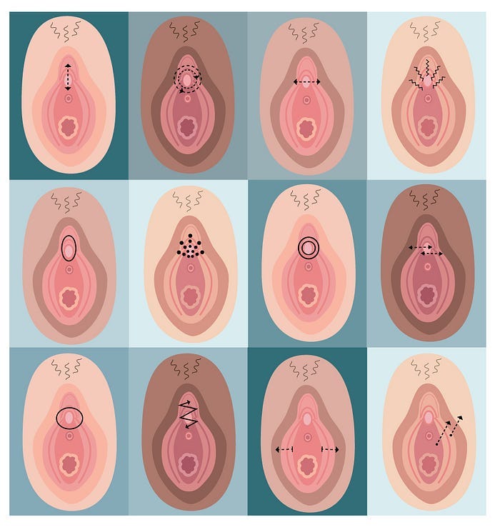 How women liked their clitoris and vulva to be touched