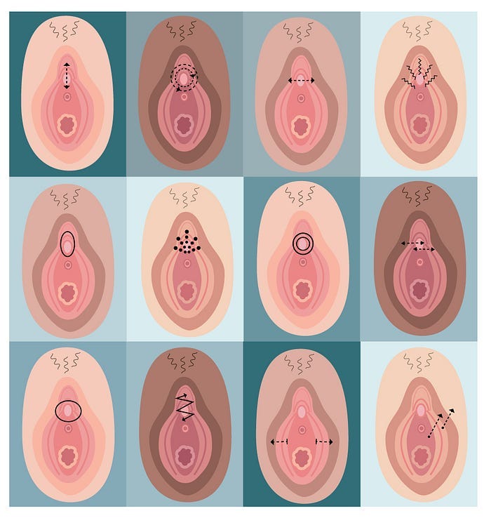 How women liked their clitoris and vulva to be touched How women liked their clitoris and vulva to be touched