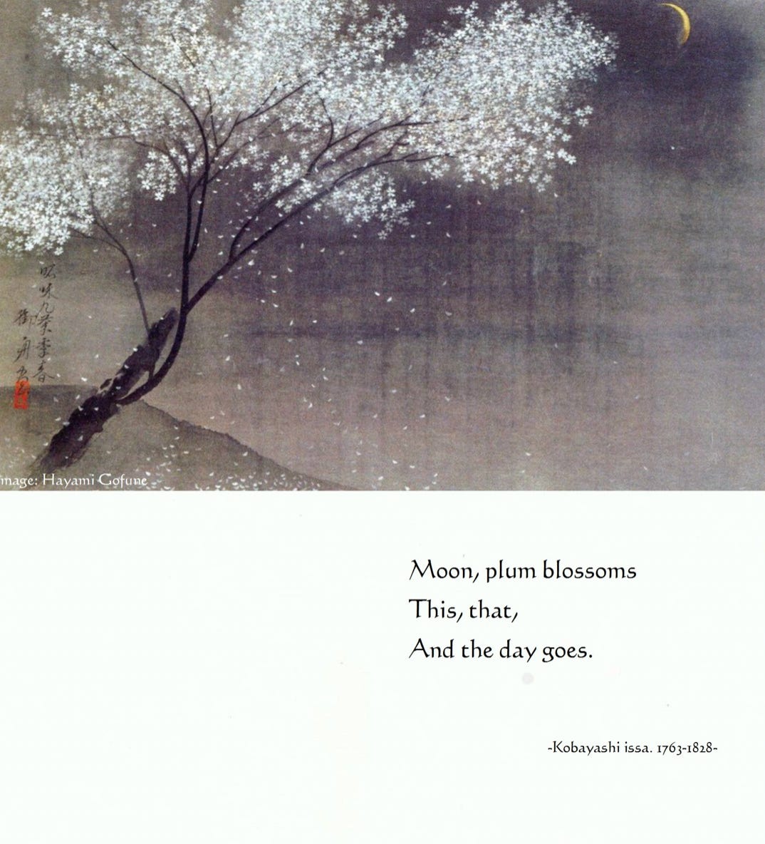 moon, plum tree, blossoms, haiku, poem, minimalist