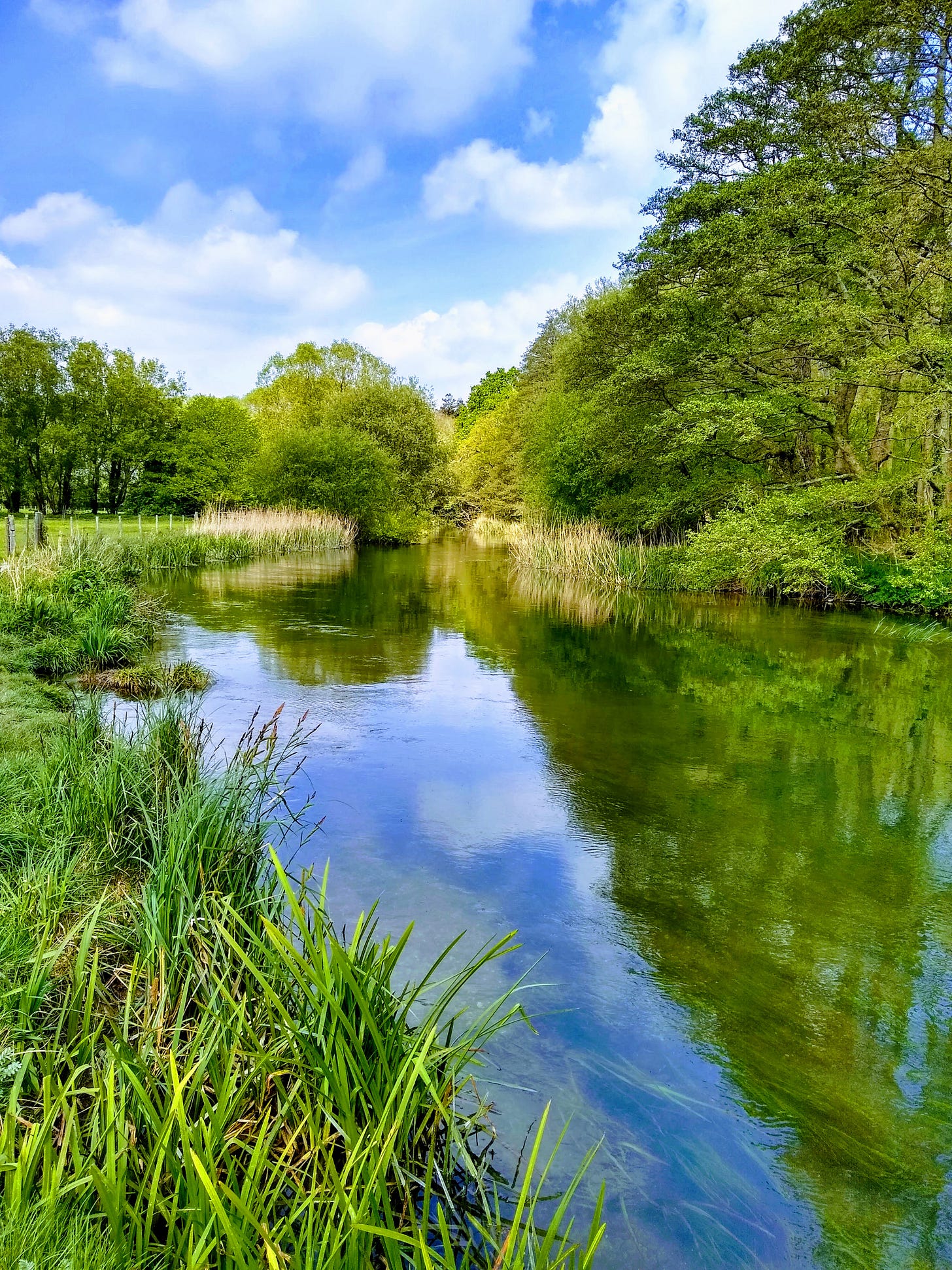 A clear chalk river with rich banks of vegetation and a cloud-dappled sky.